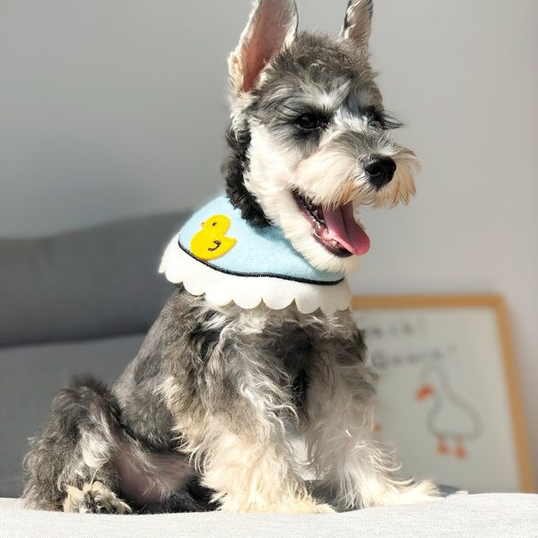 Oprsnica za pse sa aplikacijom