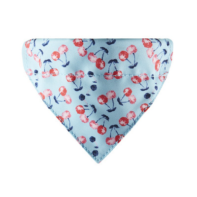 Σαλιάρα με εφαρμογή για γάτες