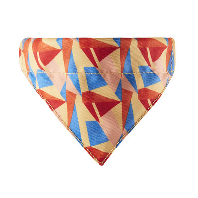 Σαλιάρα με εφαρμογή για γάτες