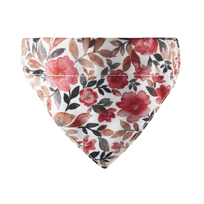 Σαλιάρα με εφαρμογή για γάτες