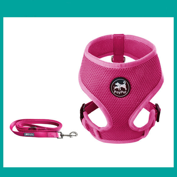 Ham pentru câini în mai multe culori