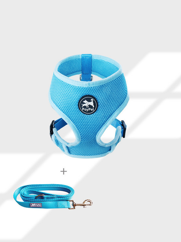 Ham pentru câini în mai multe culori