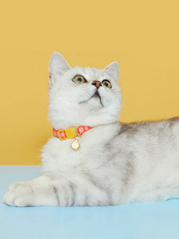 Χρωματιστό γιακά με κουδούνι για γάτες σε σετ 2 τεμαχίων