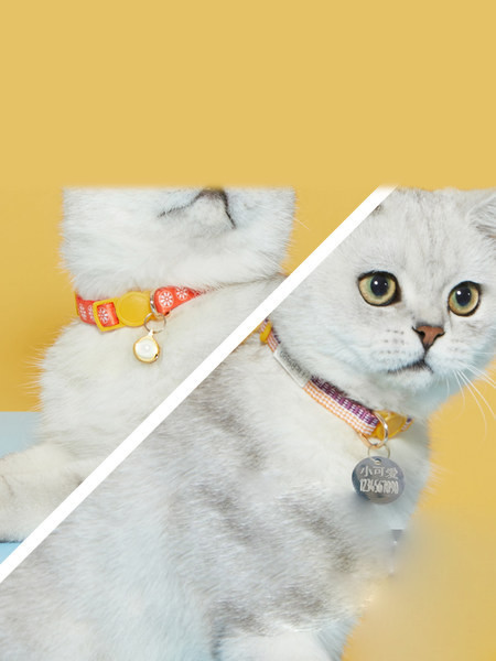 Spalvota antkaklis su varpeliu katėms 2 vnt. rinkinyje