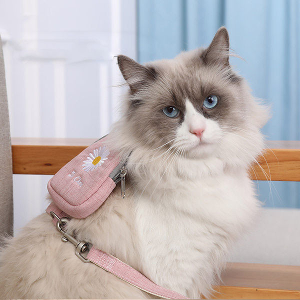 Каишка с бродерия-за котки