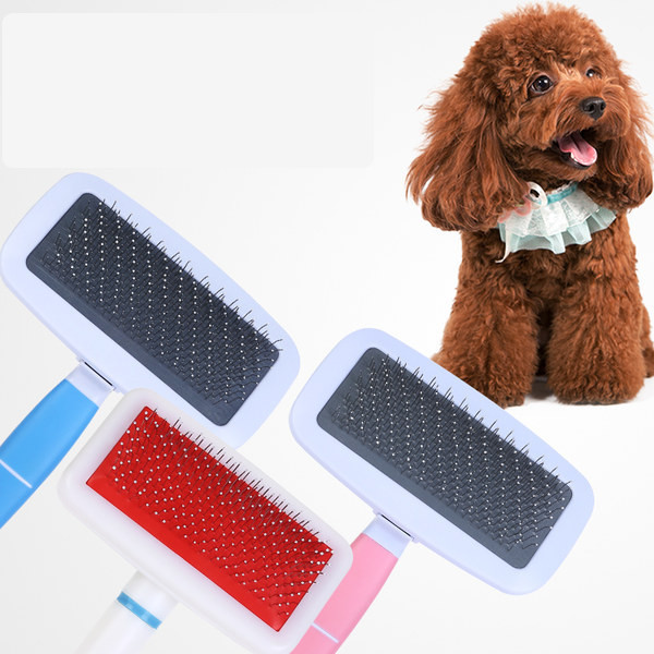 Kamm koertele roosa ja sinine