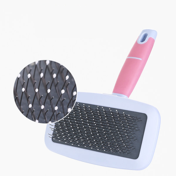 Kamm koertele roosa ja sinine