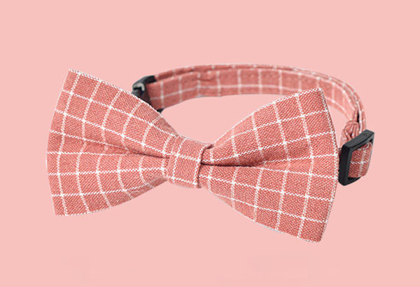 Apkakle ar rūtainu lenti kaķiem