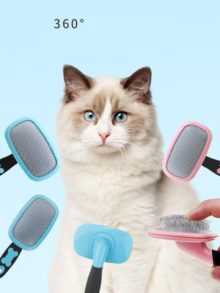 Kammide komplekt koertele