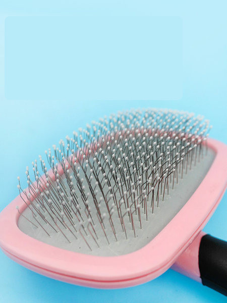 Kammide komplekt koertele