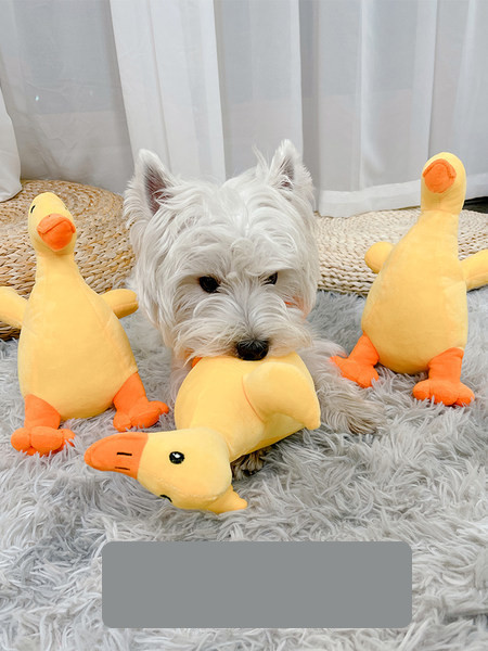 Πάπια παιχνίδι σκύλου