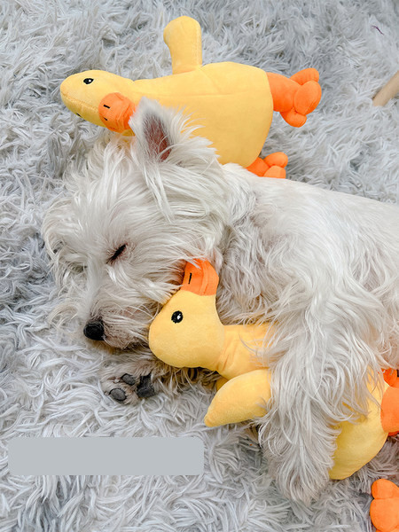 Πάπια παιχνίδι σκύλου