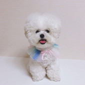 Σαμαράκι σκύλου με κορδέλα