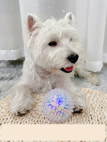 Играчка топка за кучета 