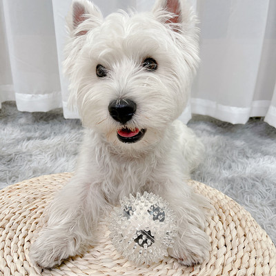 Játék labda kutyáknak