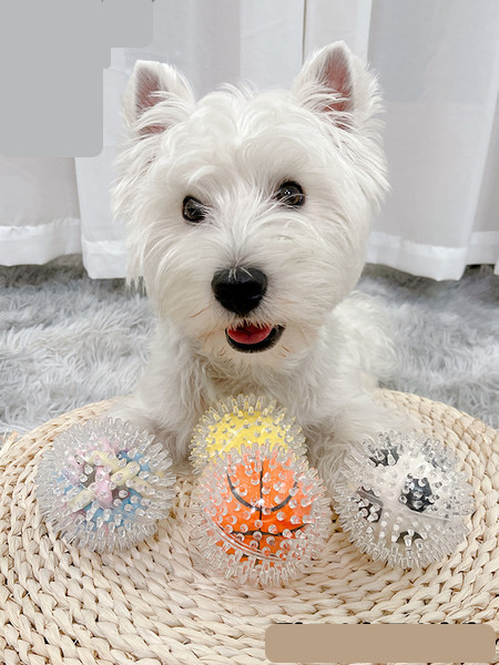 Játék labda kutyáknak