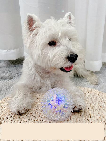 Játék labda kutyáknak