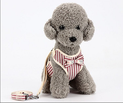 Σαμαράκι  με λουρί για σκύλους - διάφορα μοντέλα