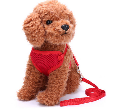 Σαμαράκι  με λουρί για σκύλους - διάφορα μοντέλα