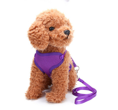 Σαμαράκι  με λουρί για σκύλους - διάφορα μοντέλα