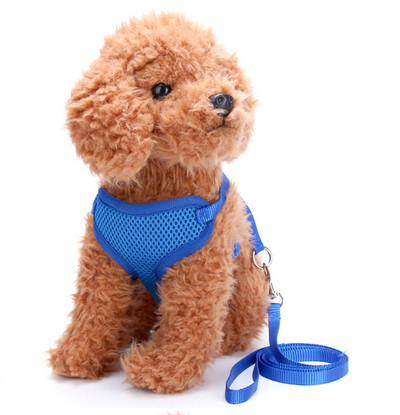 Σαμαράκι  με λουρί για σκύλους - διάφορα μοντέλα