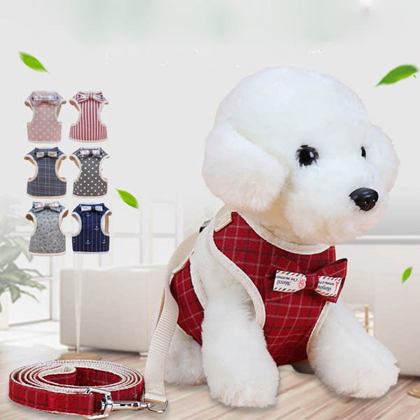 Σαμαράκι  με λουρί για σκύλους - διάφορα μοντέλα