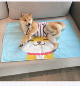 Καλοκαιρινό μαξιλάρι με εφαρμογή κατάλληλο για κατοικίδια