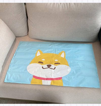 Καλοκαιρινό μαξιλάρι με εφαρμογή κατάλληλο για κατοικίδια