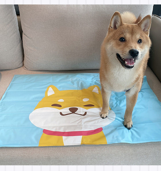 Καλοκαιρινό μαξιλάρι με εφαρμογή κατάλληλο για κατοικίδια