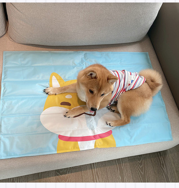 Καλοκαιρινό μαξιλάρι με εφαρμογή κατάλληλο για κατοικίδια