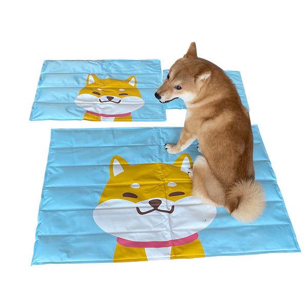 Καλοκαιρινό μαξιλάρι με εφαρμογή κατάλληλο για κατοικίδια