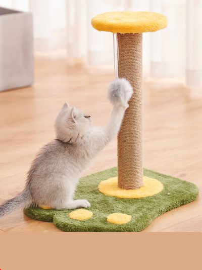 Įbrėžimas katėms letenėlės pavidalu