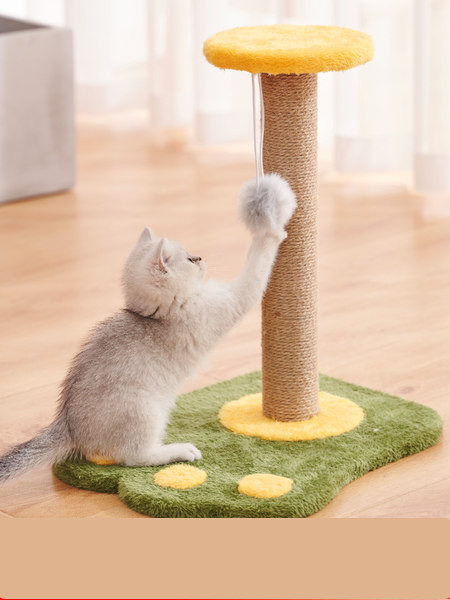 Įbrėžimas katėms letenėlės pavidalu