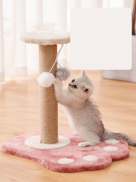 Įbrėžimas katėms letenėlės pavidalu