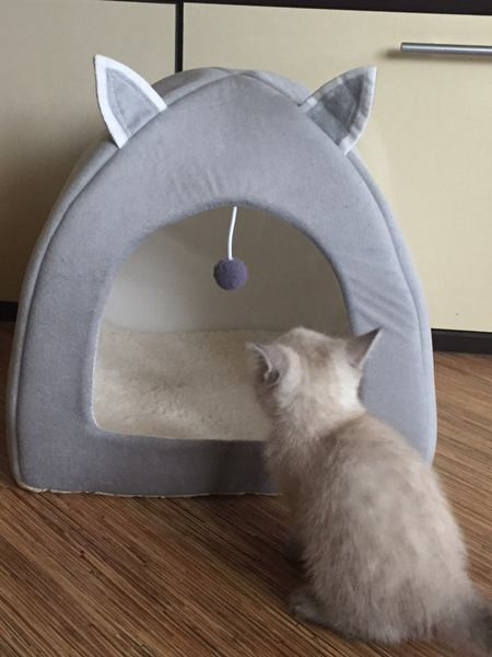 Cat house με τρισδιάστατο στοιχείο