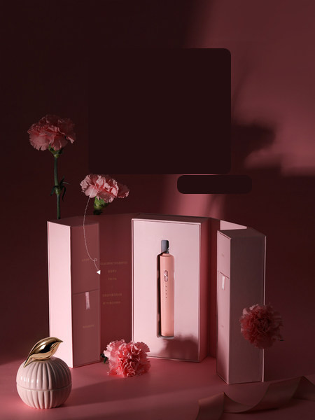 Električna četka sa kutijom u dvije boje