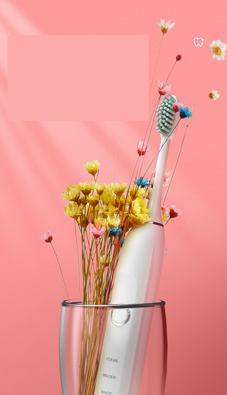 Elektrinis šepetys su 8 antgaliais