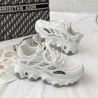 Kareda tallaga naiste võrktossud - kolmes värvitoonis