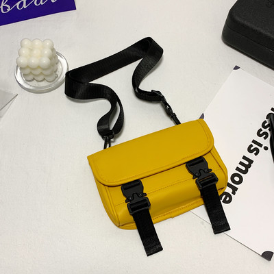 Mindennapi kis táska csatokkal