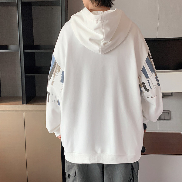 Igapäevane meeste dressipluus lipsude ja kapuutsiga