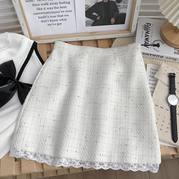 Γυναικεία φούστα και δαντέλα σε γραμμή Α