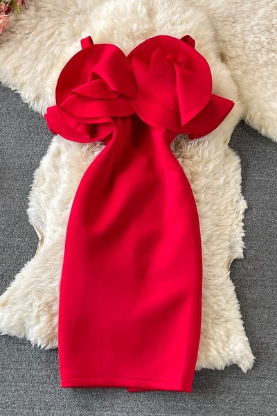 Naiste kleidi uus mudel kahes värvitoonis