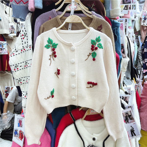 Ümmarguse dekoltee ja tikandiga vabaaja naiste kampsun