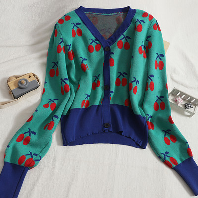 Värviline naiste vest spitsikaelusega ja pikkade varrukatega