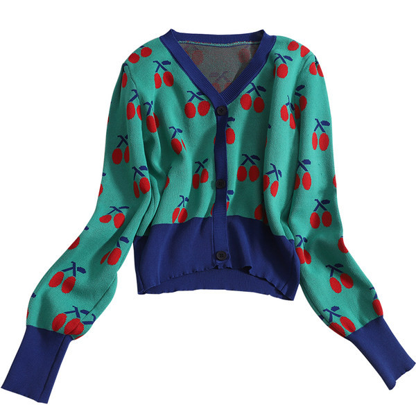 Värviline naiste vest spitsikaelusega ja pikkade varrukatega