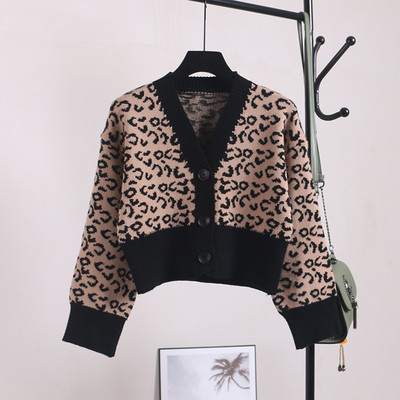 Naiste nööpide ja loomamustriga kardigan