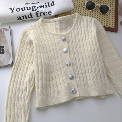 Hõbedase värviga kootud naiste kampsun