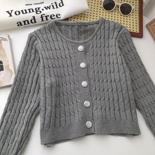 Hõbedase värviga kootud naiste kampsun