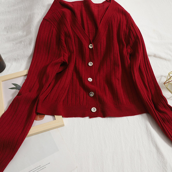 Mitmes värvitoonis spitsikaelusega vabaaja vest naistele