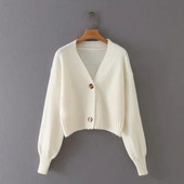 Lühike sügisvest nööpide ja sügava spitsikaelusega